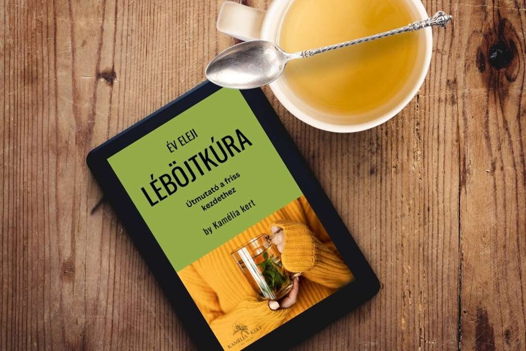 léböjtkúra e-book